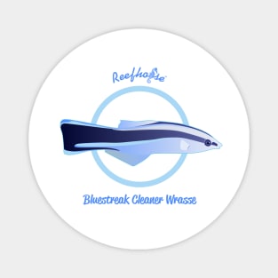 Bluestreak Cleaner Wrasse Magnet